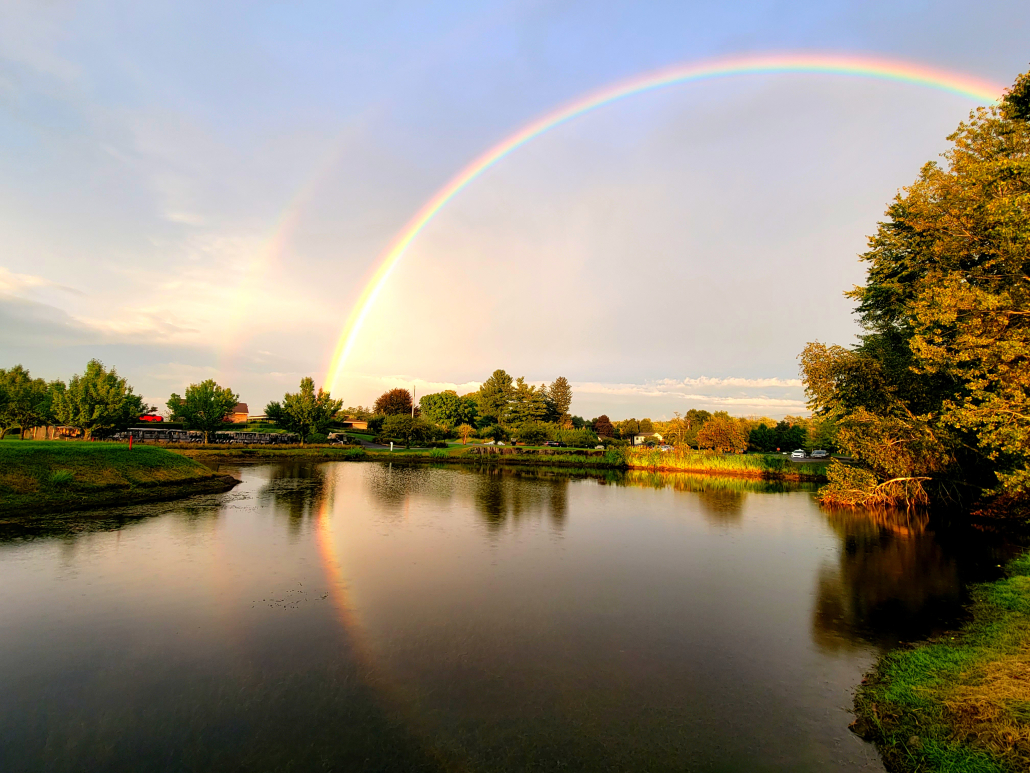 rainbow#1 Jamie